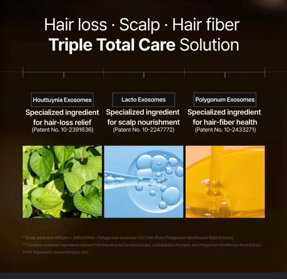 Lilyeve Grow-Turn Brush Ampoule close-up Korean hair care treatment | Glow Skin Beauty Shop.